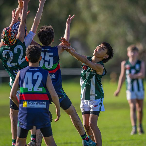 Northern Saints gallery photo